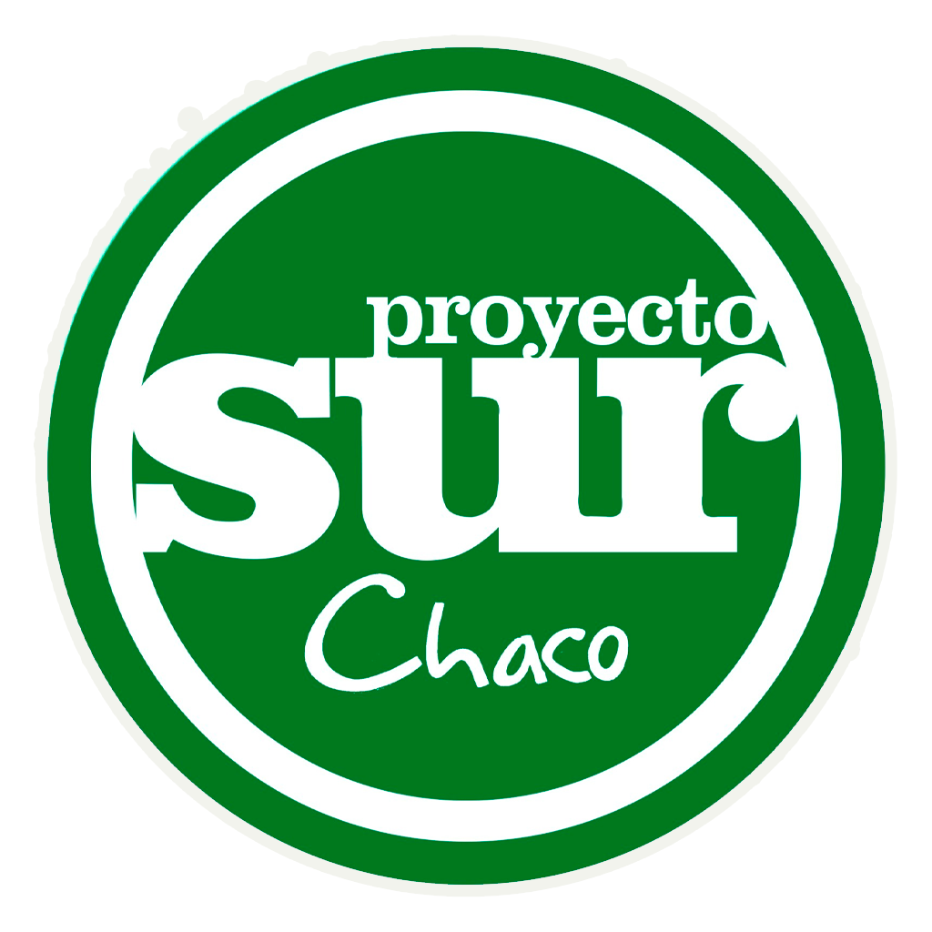 Logo de Proyecto Sur